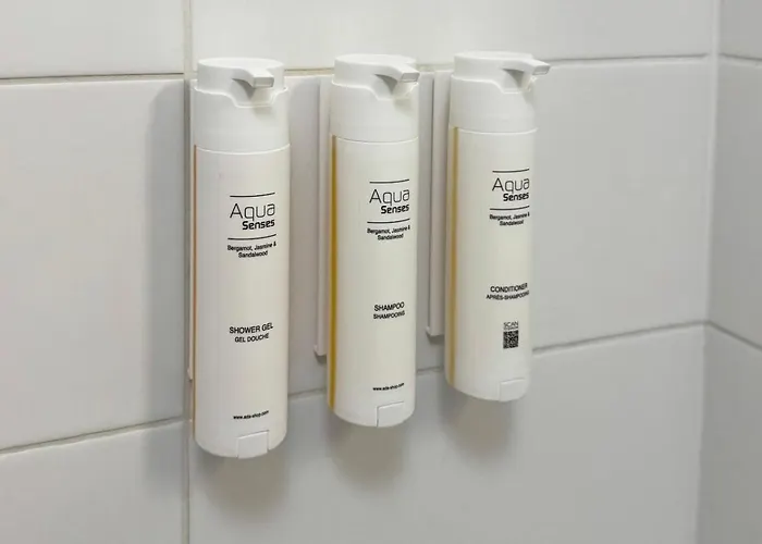 Apartament Ch Gare *